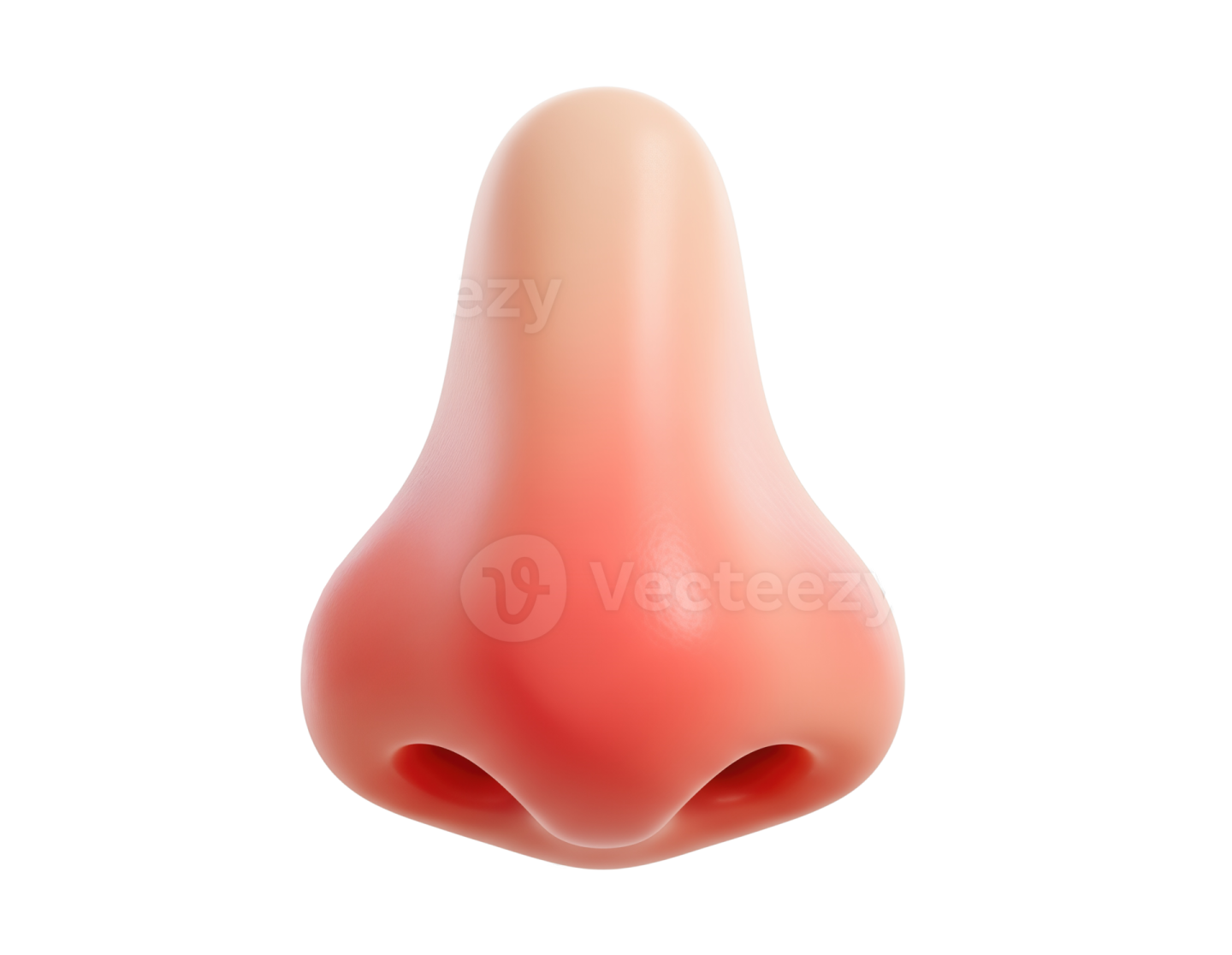 an illustration of a female's nose