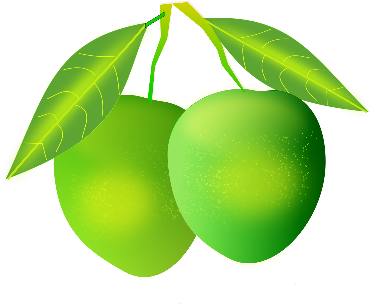 two green mangos on a white background