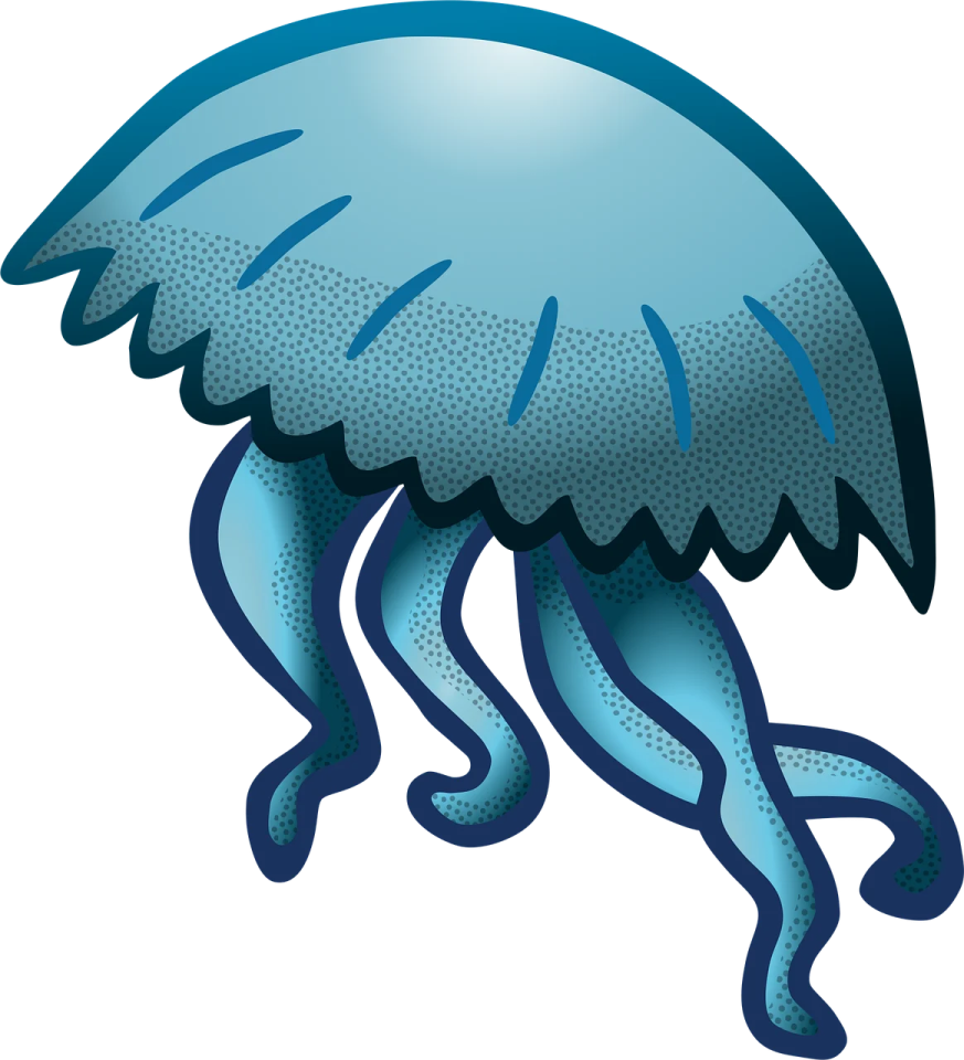 an illustration of a jellyfish