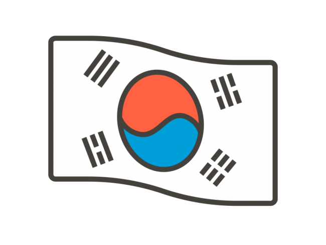 the flag of south korea