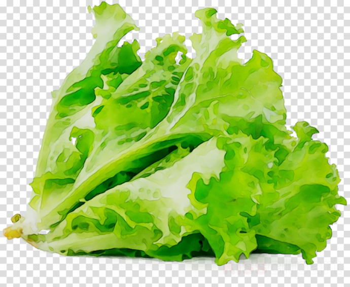 a pile of lete leaves on a transparent background