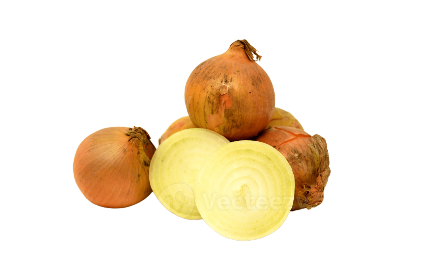 onions on a white background