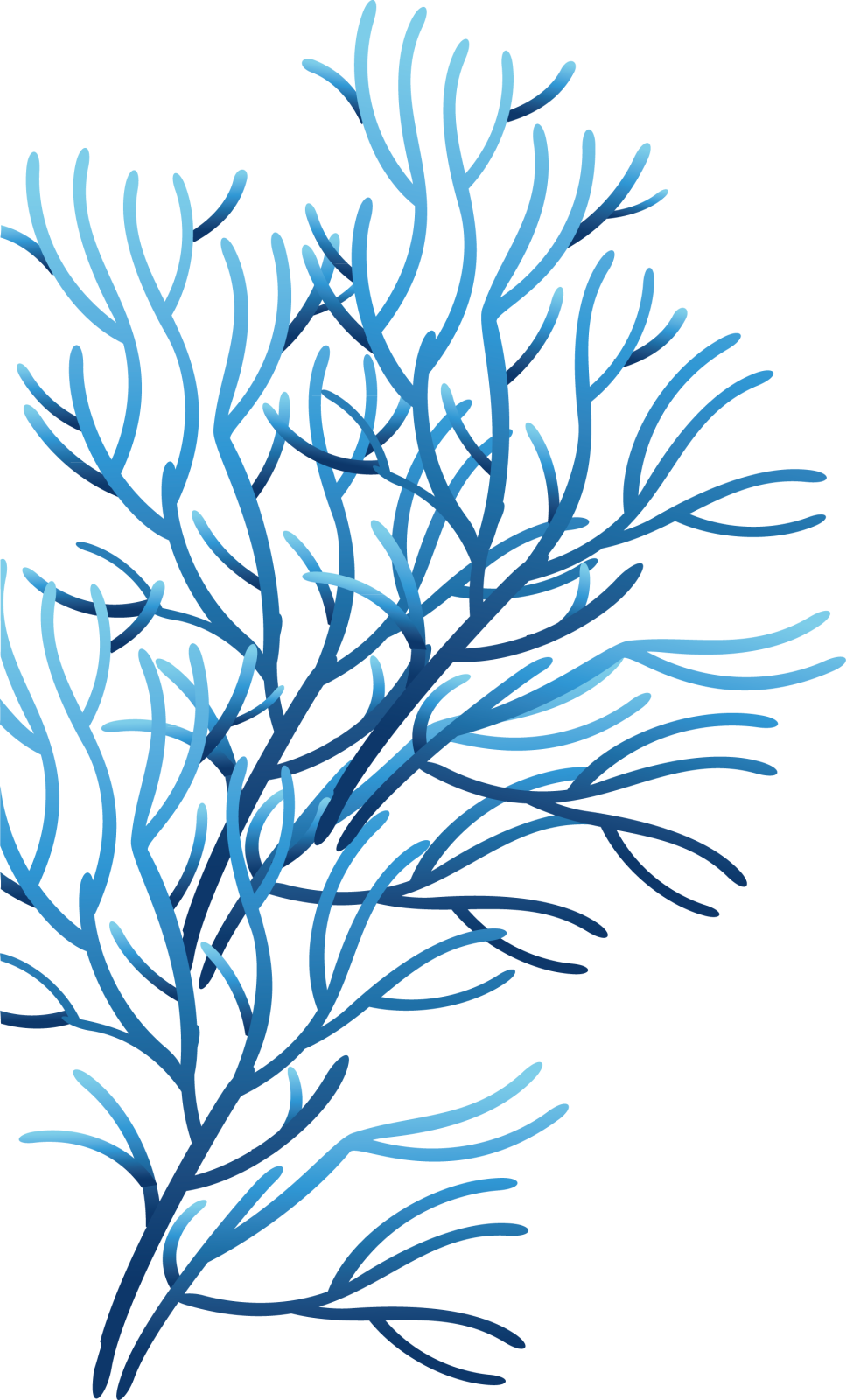 a blue seaweed on a white background
