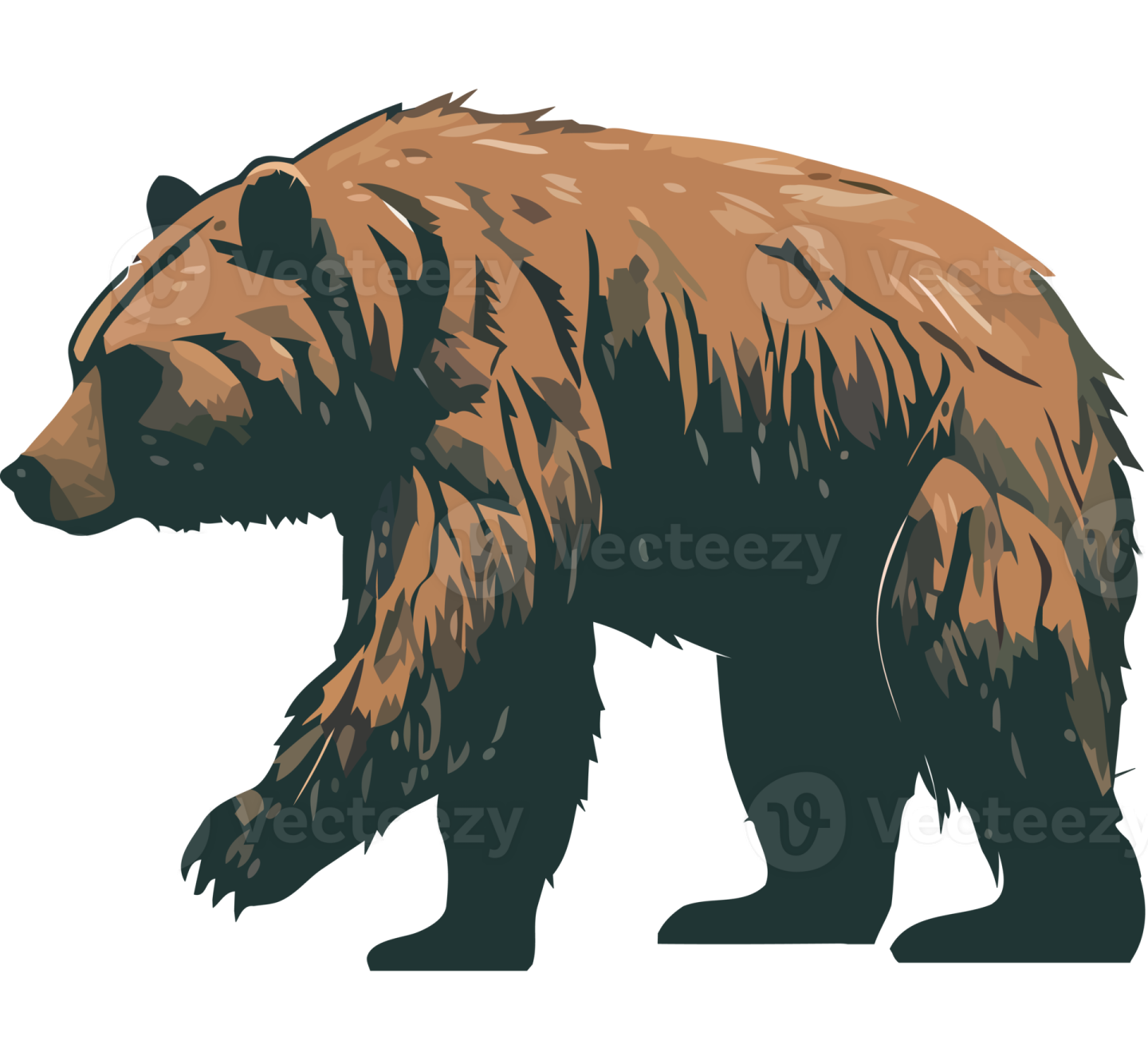 a brown bear on a white background