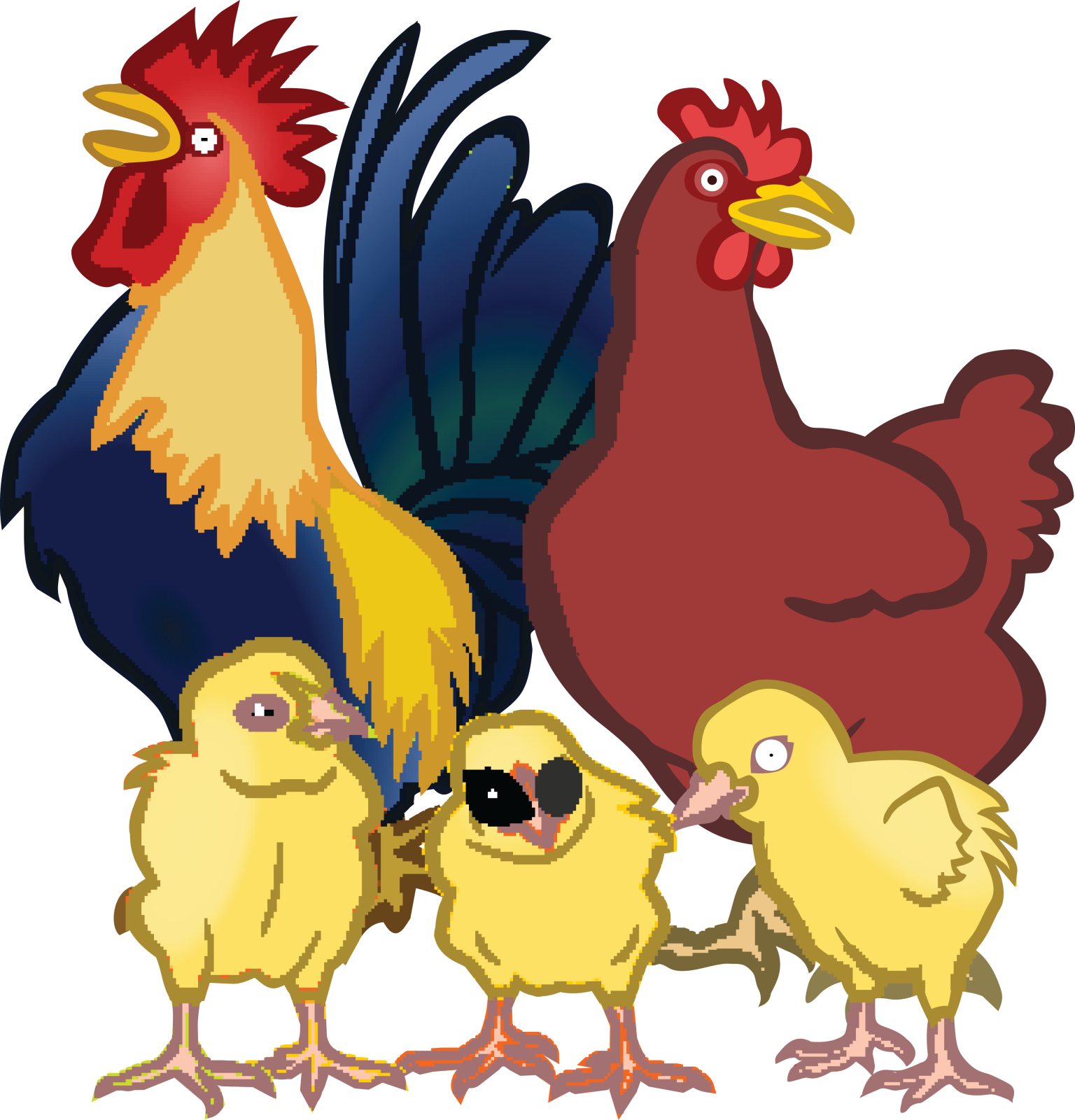 a group of chickens