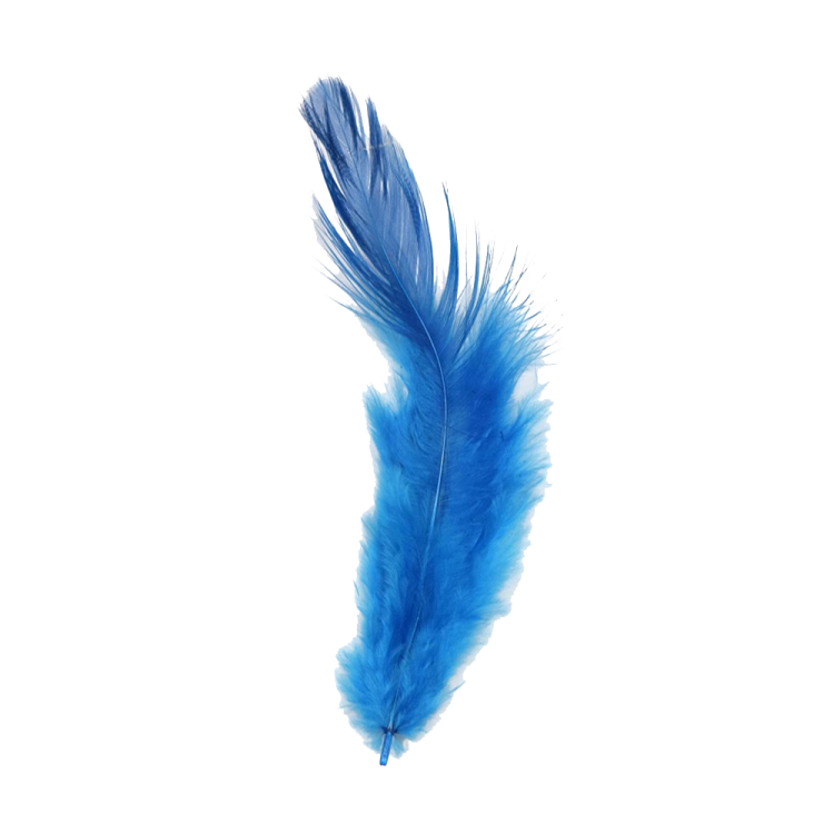 a blue feather on a white background