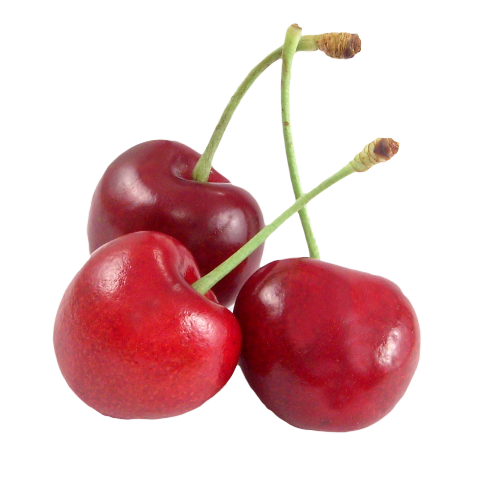 two chers on a white background