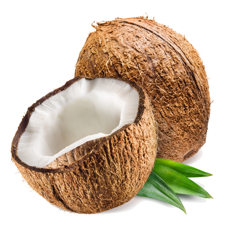 a coconut with leaves on it