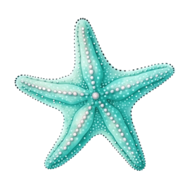 a starfish on a white background