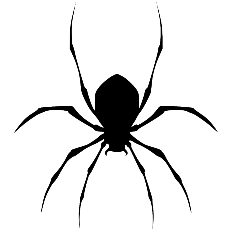 a spider silhouetted on a white background