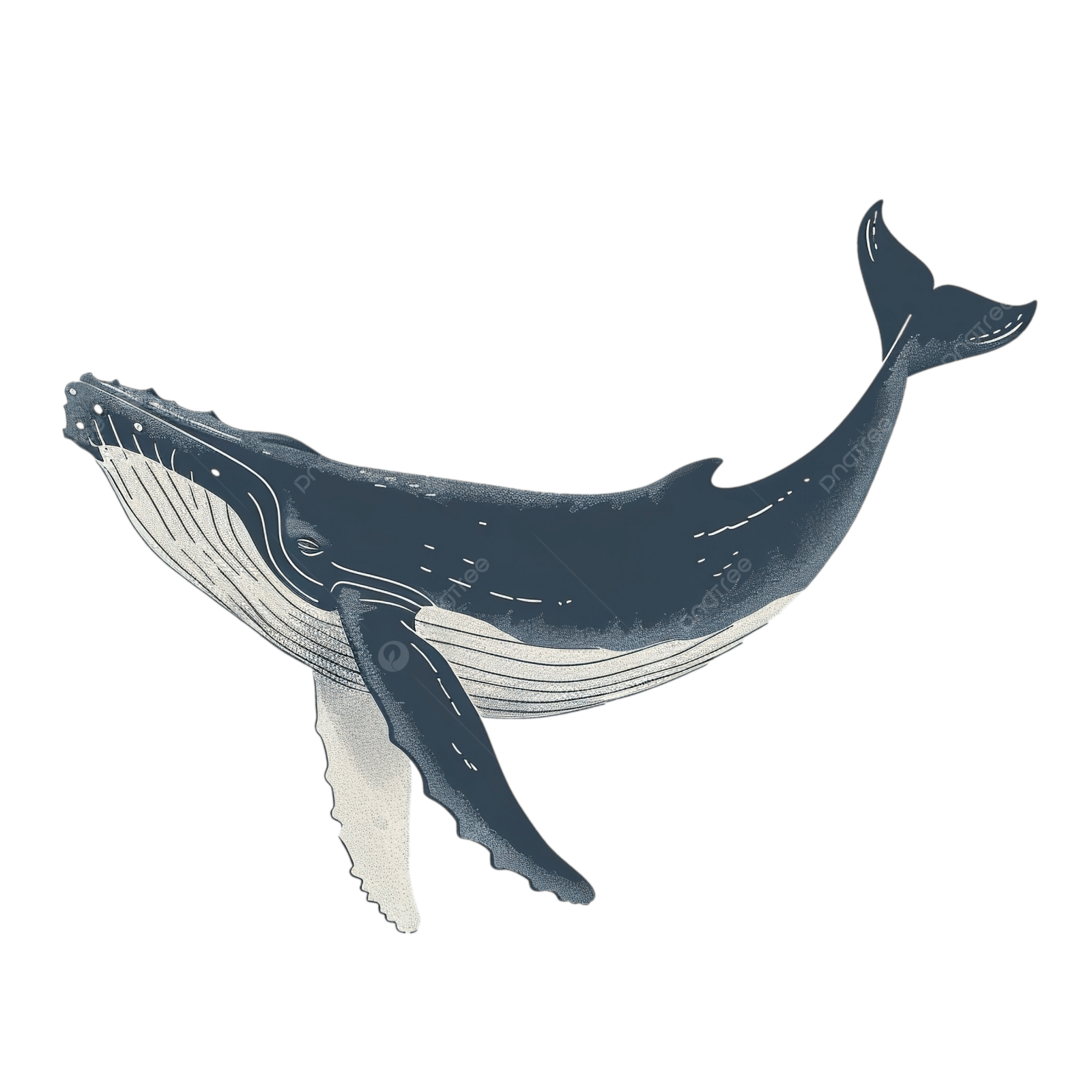 an illustration of a whale in the ocean
