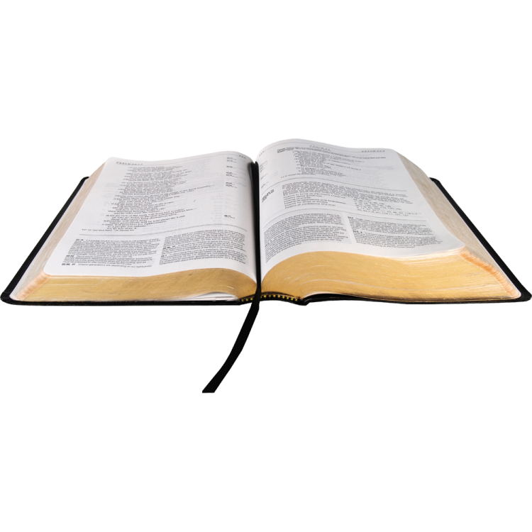 an open bible on a white background