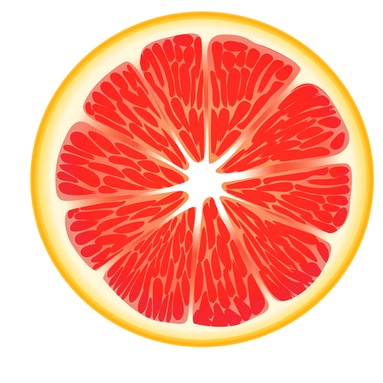 a slice of grape on a white background