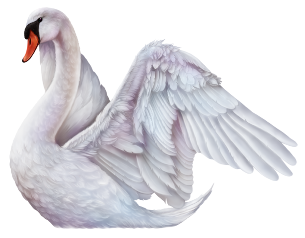 a white swan with its wings spread out