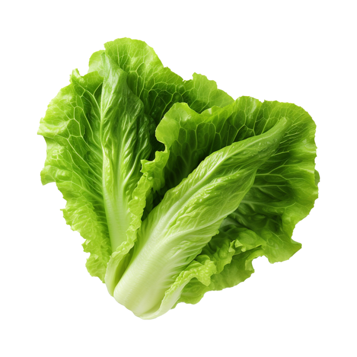 a close up of a green leafy vegetable