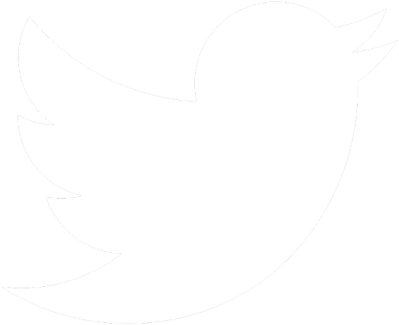a black and white drawing of a bird