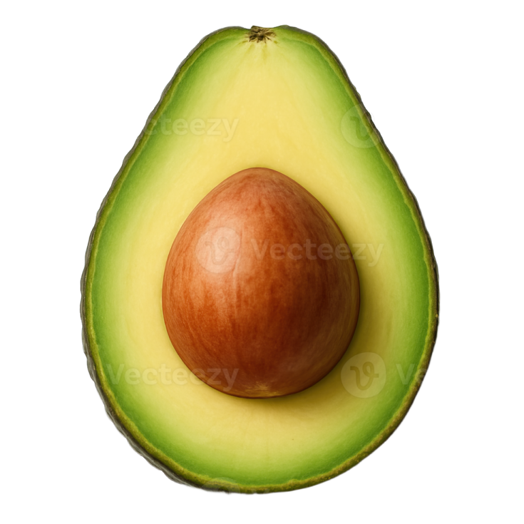 an avocal on a white background