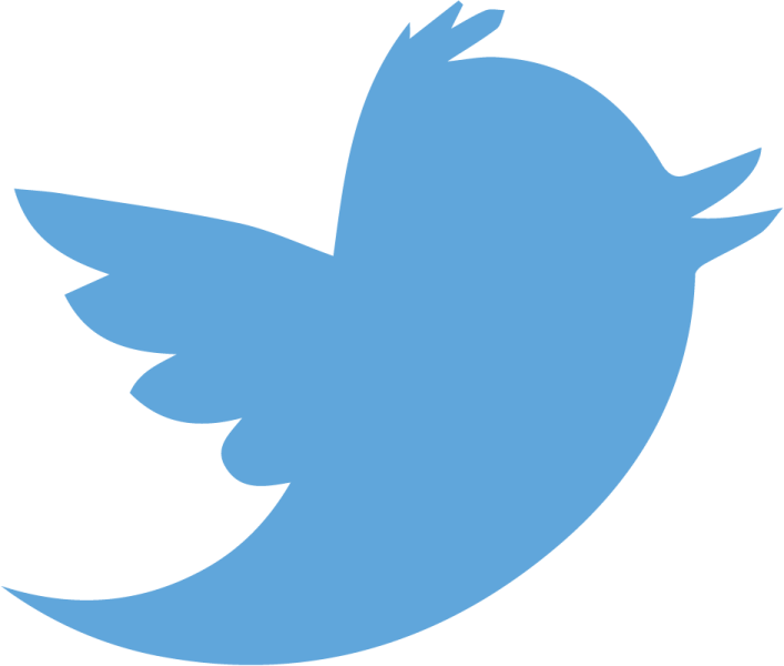 the twitter logo