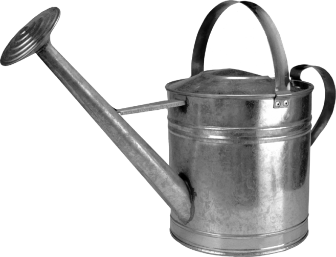 a metal watering can with a handle