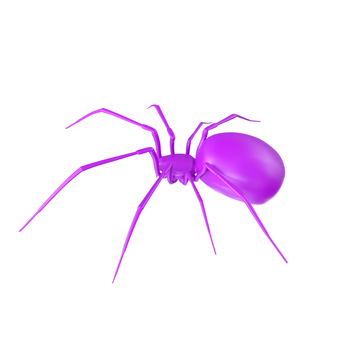 a purple spider on a white background