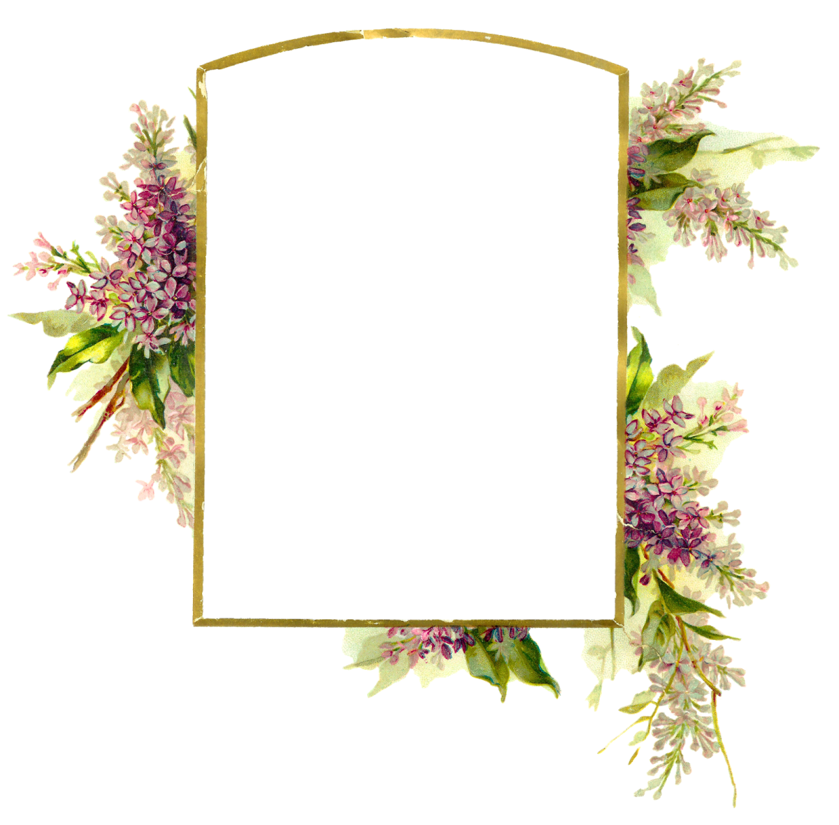 a gold frame with flowers and leaves