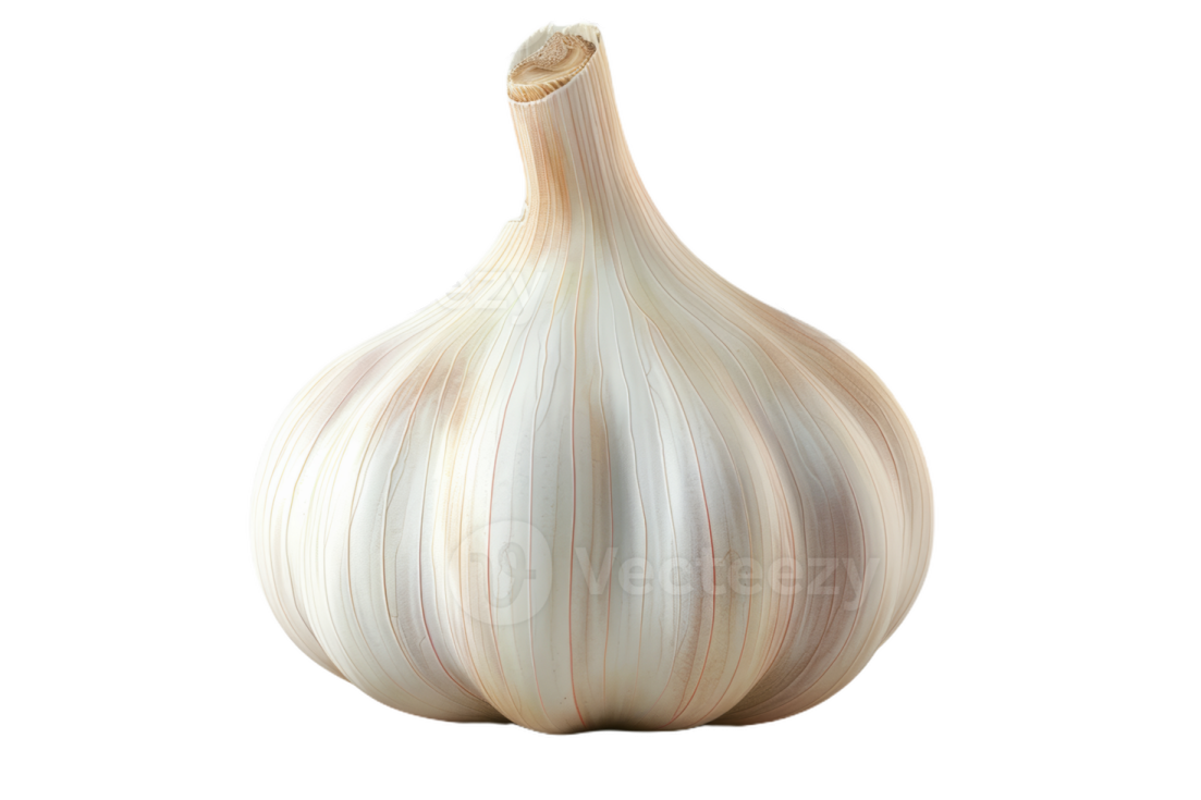 a garlic bulb on a white background