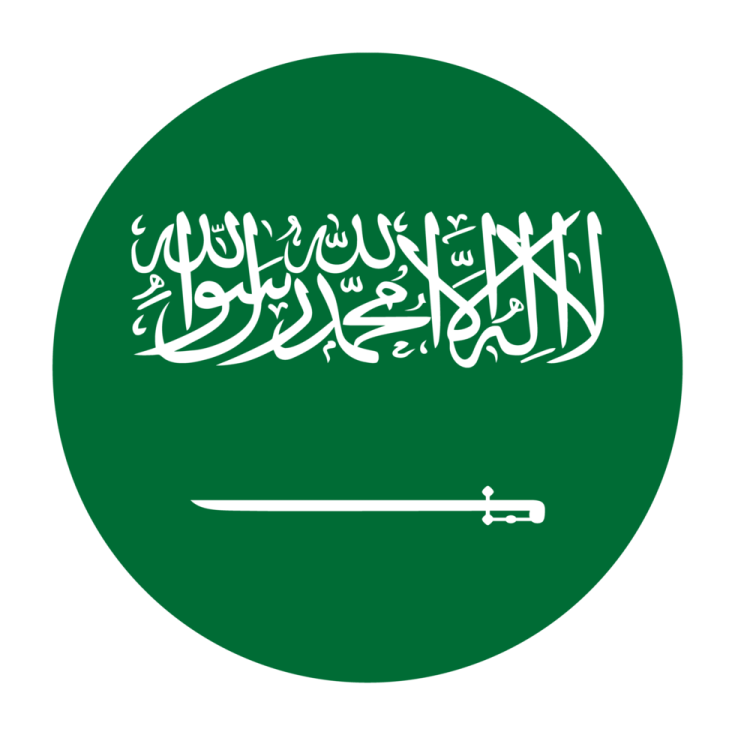 the flag of saudi
