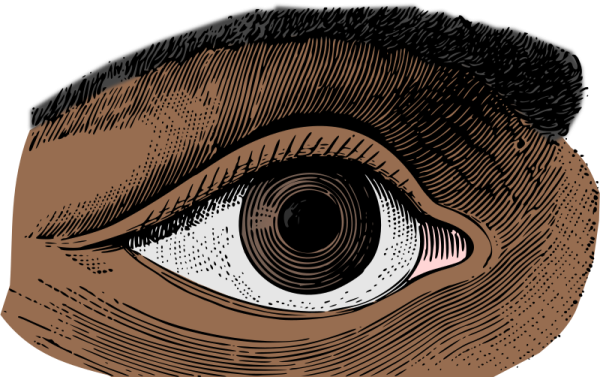 an illustration of a human eye