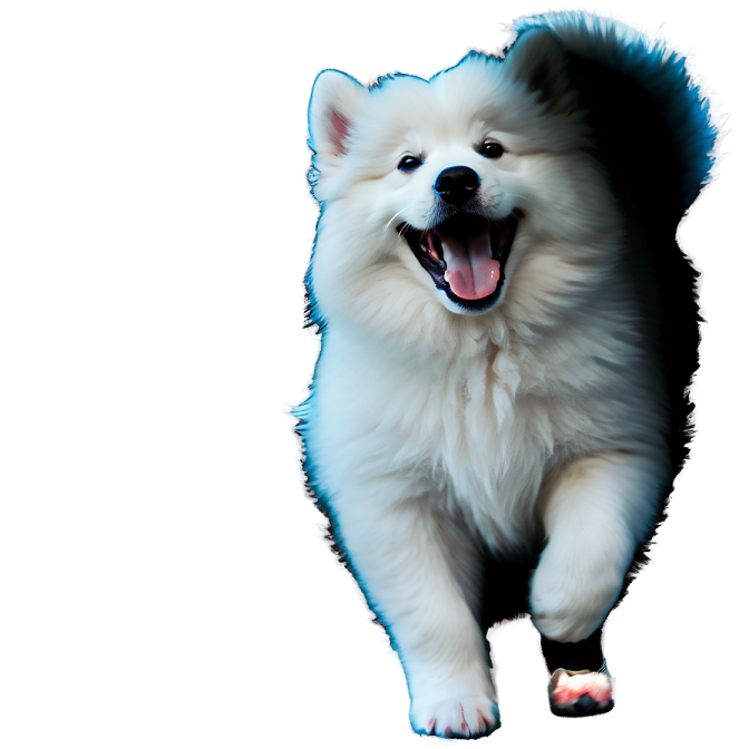 a white and black dog with its mouth open