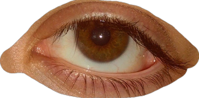 a close up view of an eye