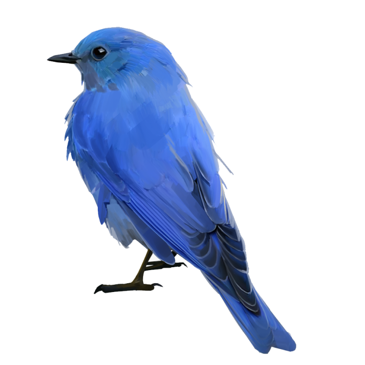 a blue bird sitting on top of a white surface