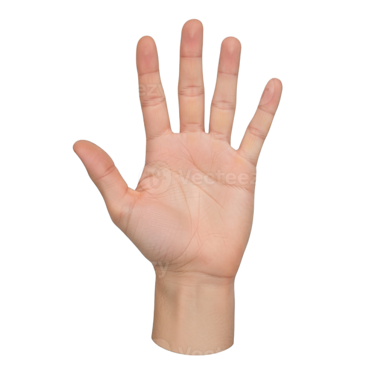 a person's hand showing the number of their fingers