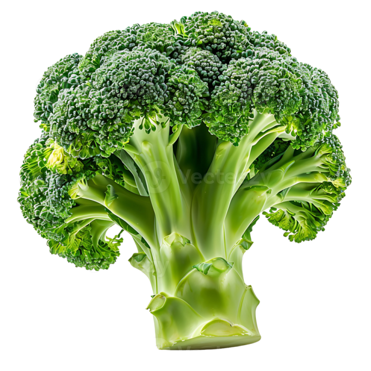 a close up of a piece of broccote