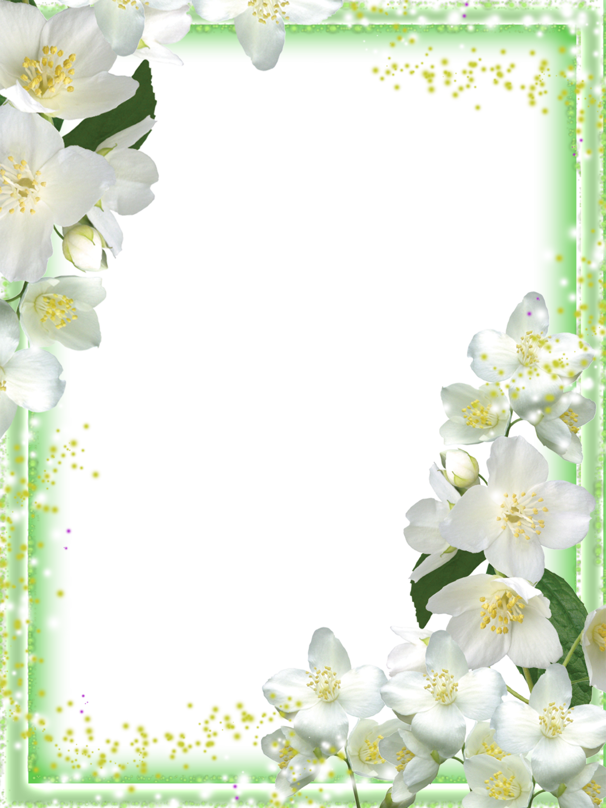 a frame with white flowers on a green background