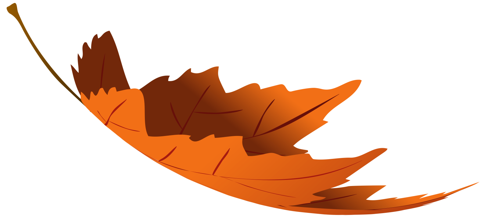 a brown leaf on a white background
