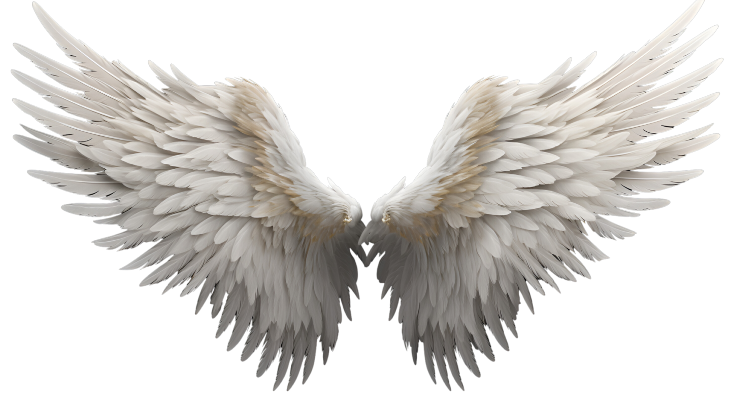 two white wings on a white background