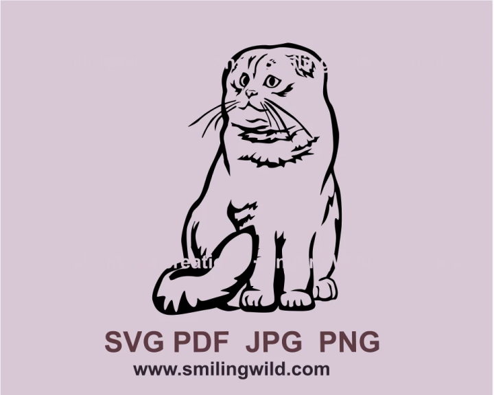 a black and white drawing of a cat sitting on the ground