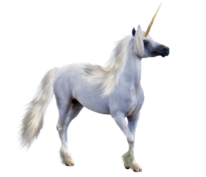 a white unicorn standing on its hinds