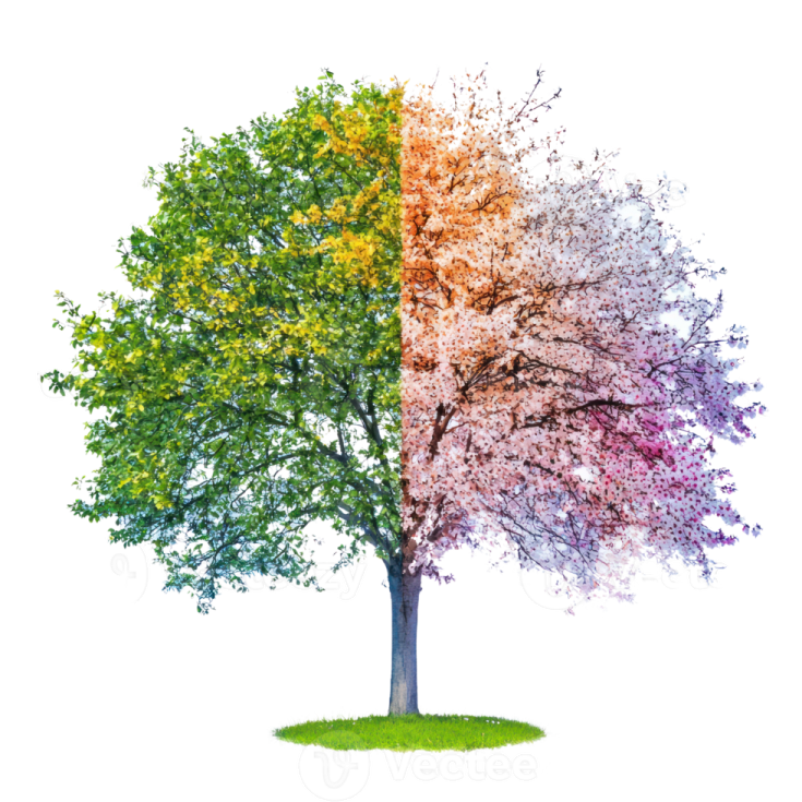a tree with colorful leaves on it