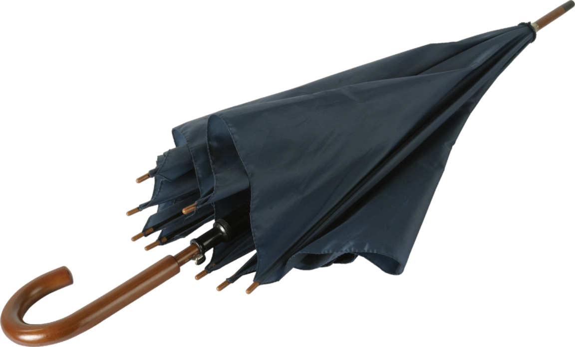 a black umbrella with wooden handle