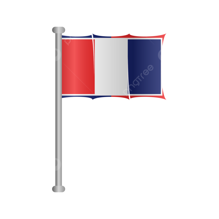 a french flag on a pole