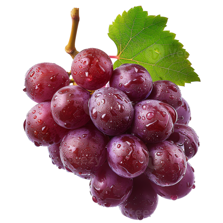 a bunch of grapes with water droplets on them