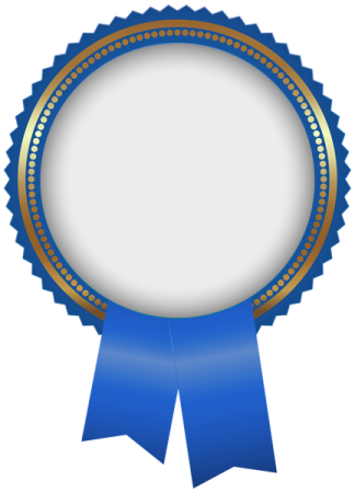 a blue and gold medal with a white background