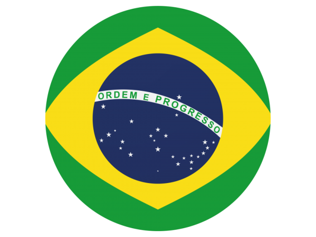 the brazilian flag