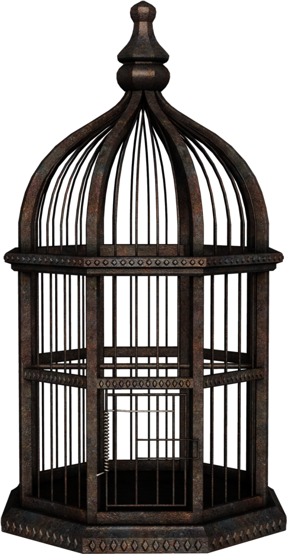 a bird in a cage on a white background