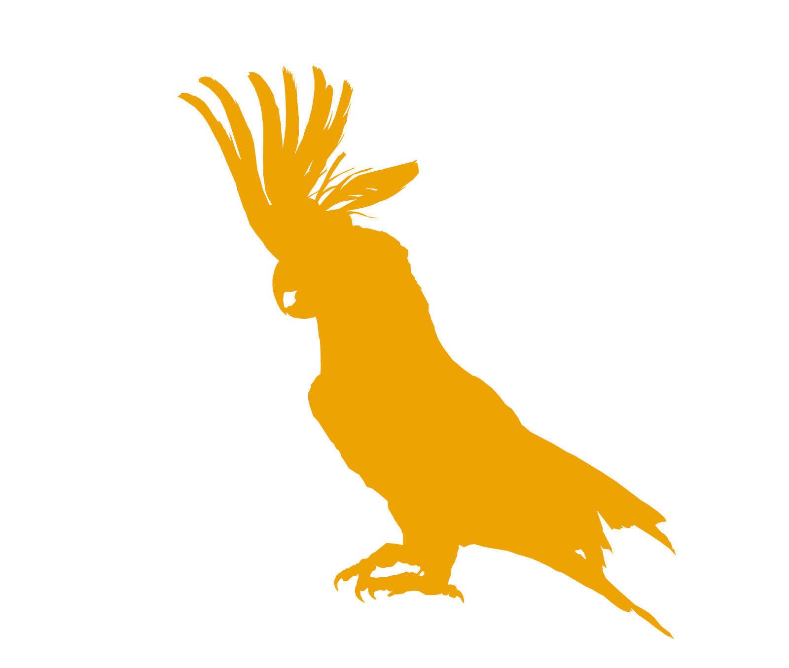 a silhouette of a bird on a white background