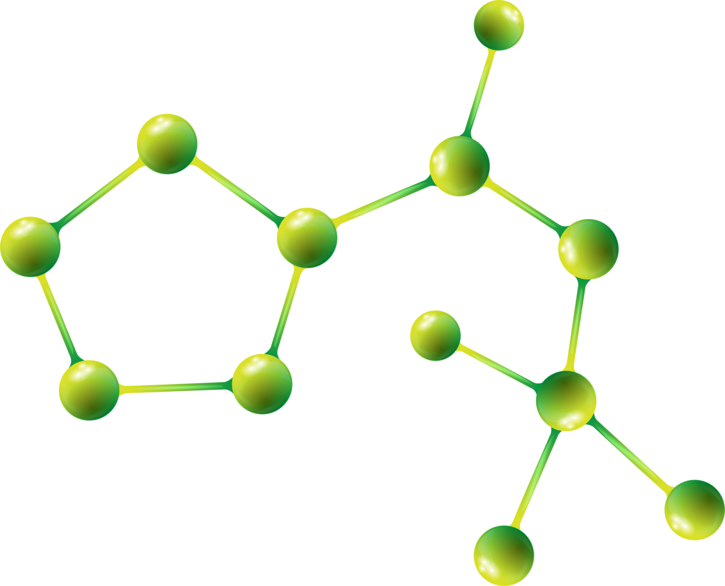 the structure of a molecule