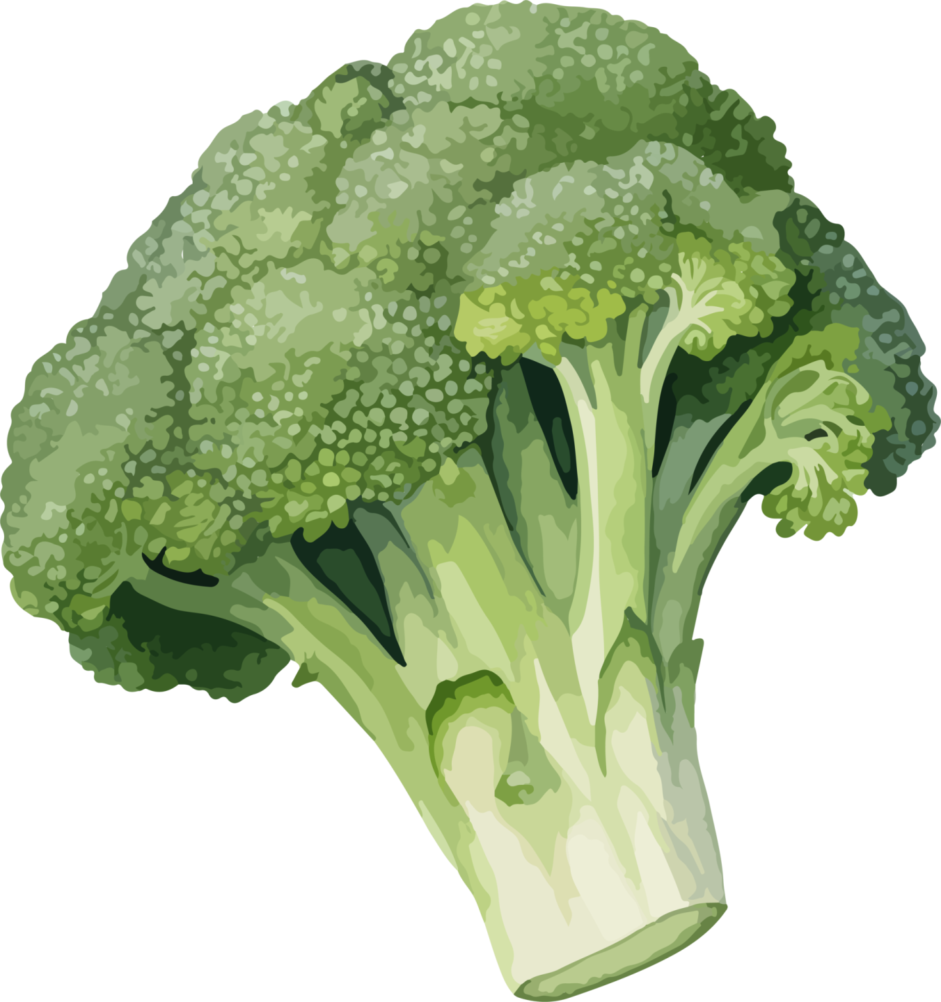 a piece of broccote