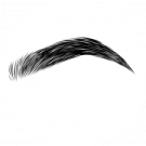 a black and white image of a pair of eyelashes