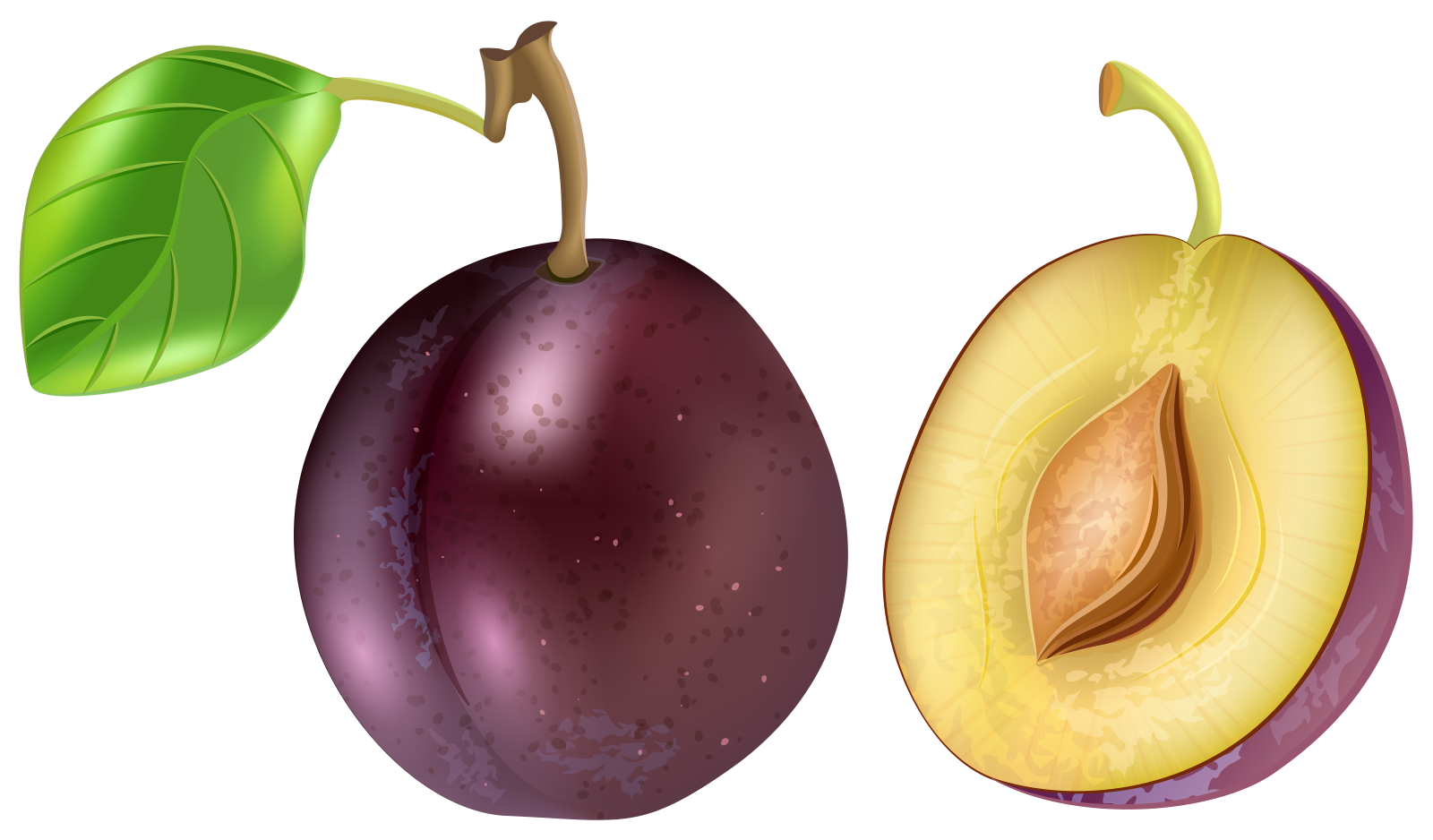 two plums with a green leaf on top